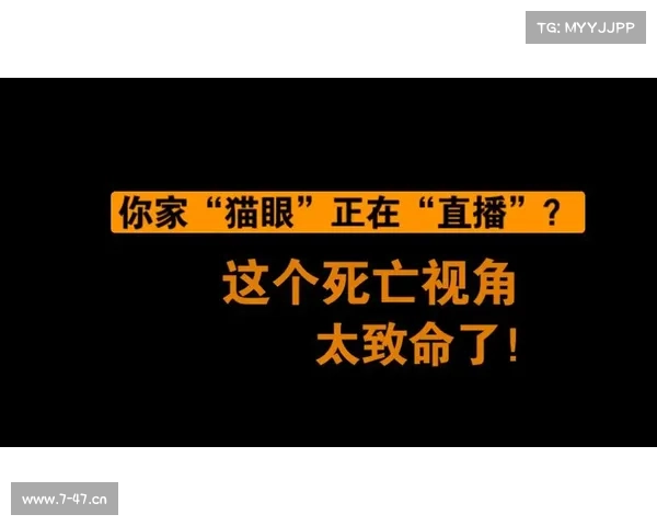 猫眼体育直播